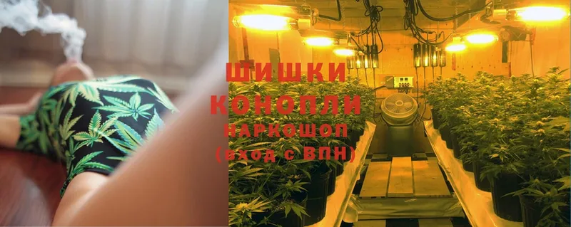 блэк спрут рабочий сайт  Канаш  Шишки марихуана Ganja  наркошоп 